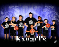 2014 Knights