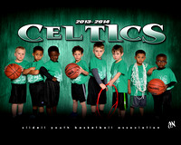 2014 Celtics-Williams
