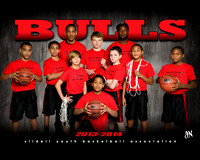 2014 Bulls-Smith